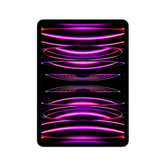 2022 11-inch iPad Pro Wi-Fi + Cellular 128GB - Space Grey (4th generation)