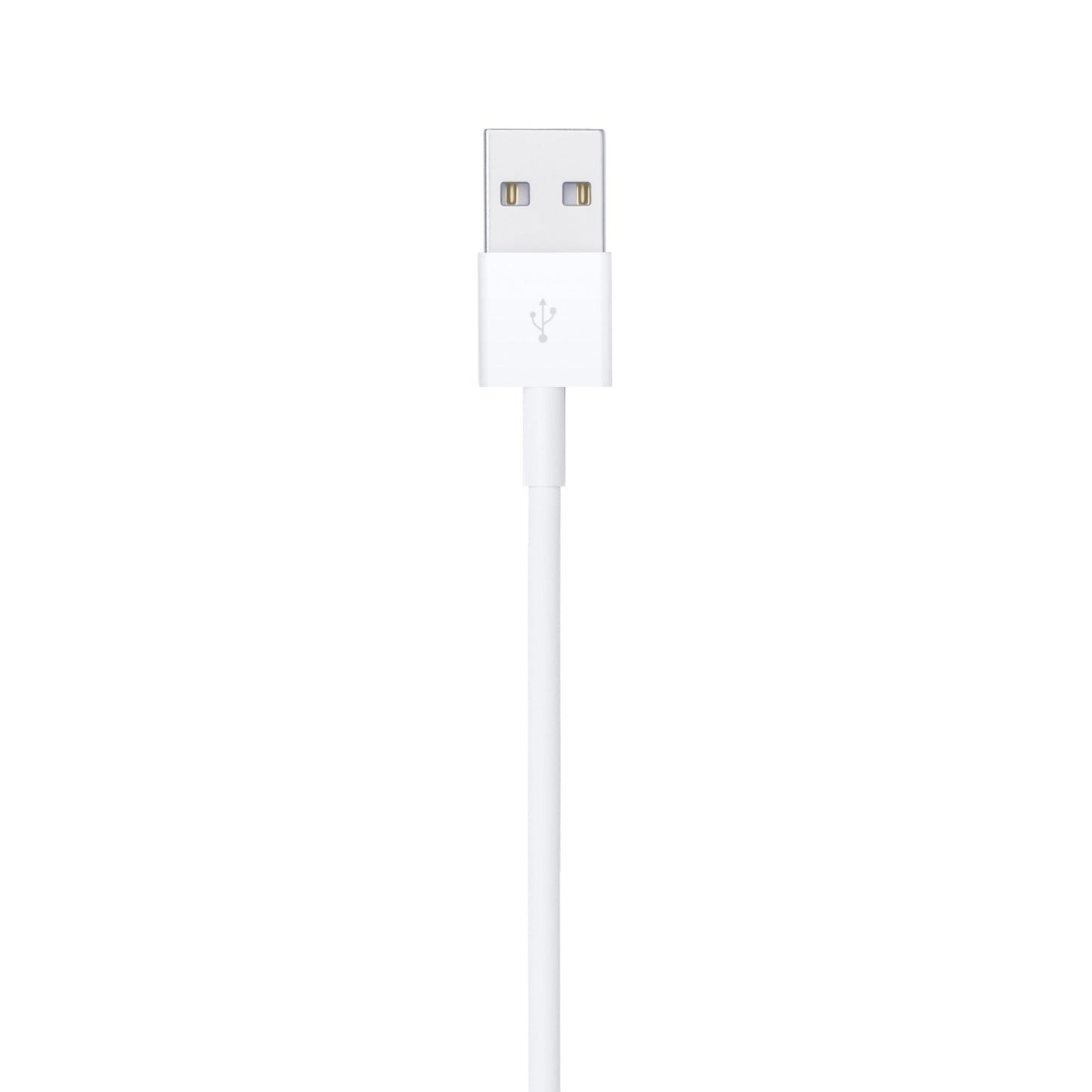 Lightning to USB Cable 2 M