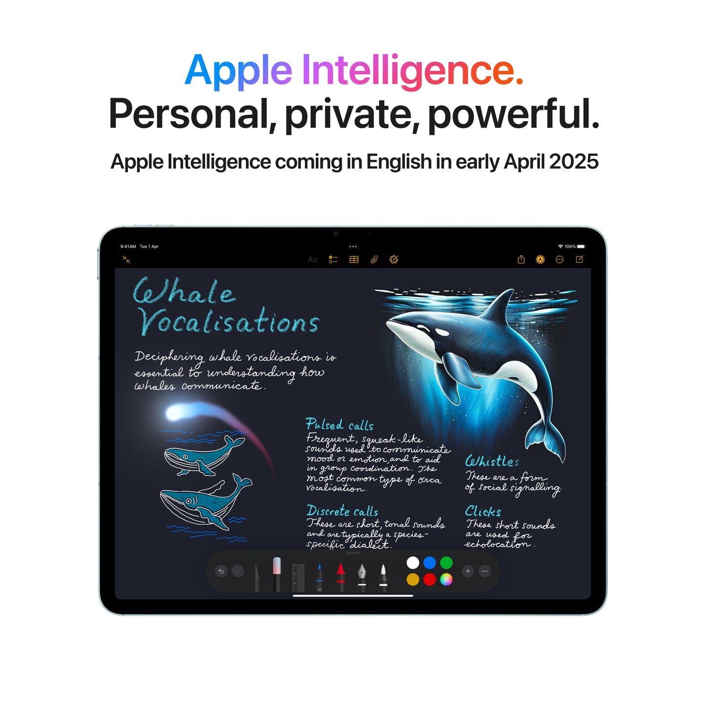 13-inch iPad Air Wi-Fi + Cellular 256GB - Starlight (M3)
