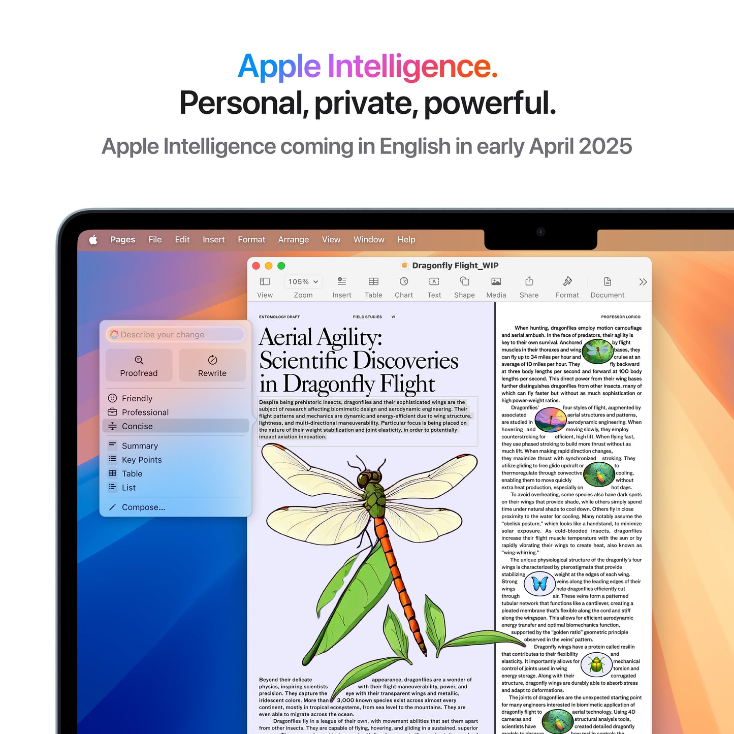 13-inch MacBook Air: Apple M4 chip with 10-core CPU and 8-core GPU, 256GB SSD - Sky Blue