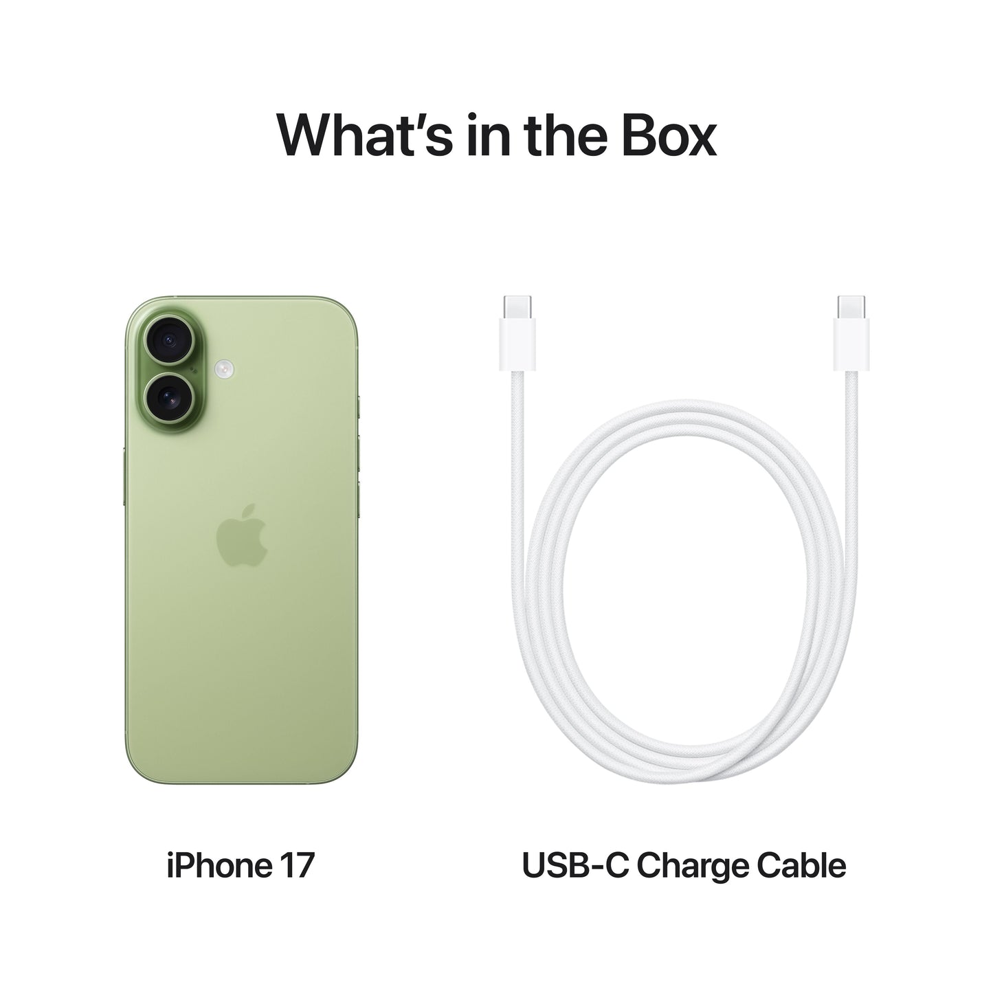 iPhone 17 256GB Sage
