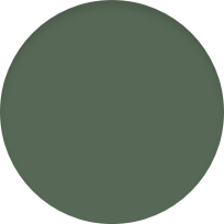 iPhone 13 Pro Max 256GB Alpine Green