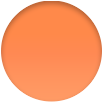 41mm Bright Orange Sport Band