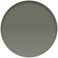 45mm Olive Sport Band