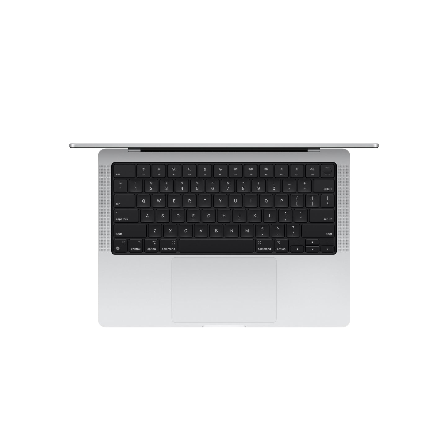 14-inch MacBook Pro: Apple M4 chip with 10-core CPU and 10-core GPU, 1TB SSD - Silver
