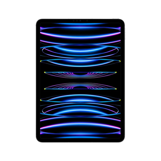 2022 11-inch iPad Pro Wi-Fi + Cellular 256GB - Silver (4th generation)