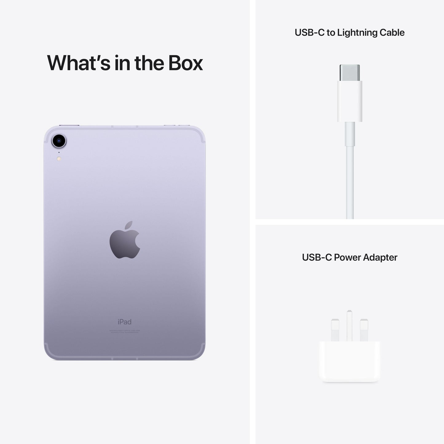 iPad mini Wi-Fi + Cellular 256GB - Purple (6th generation)